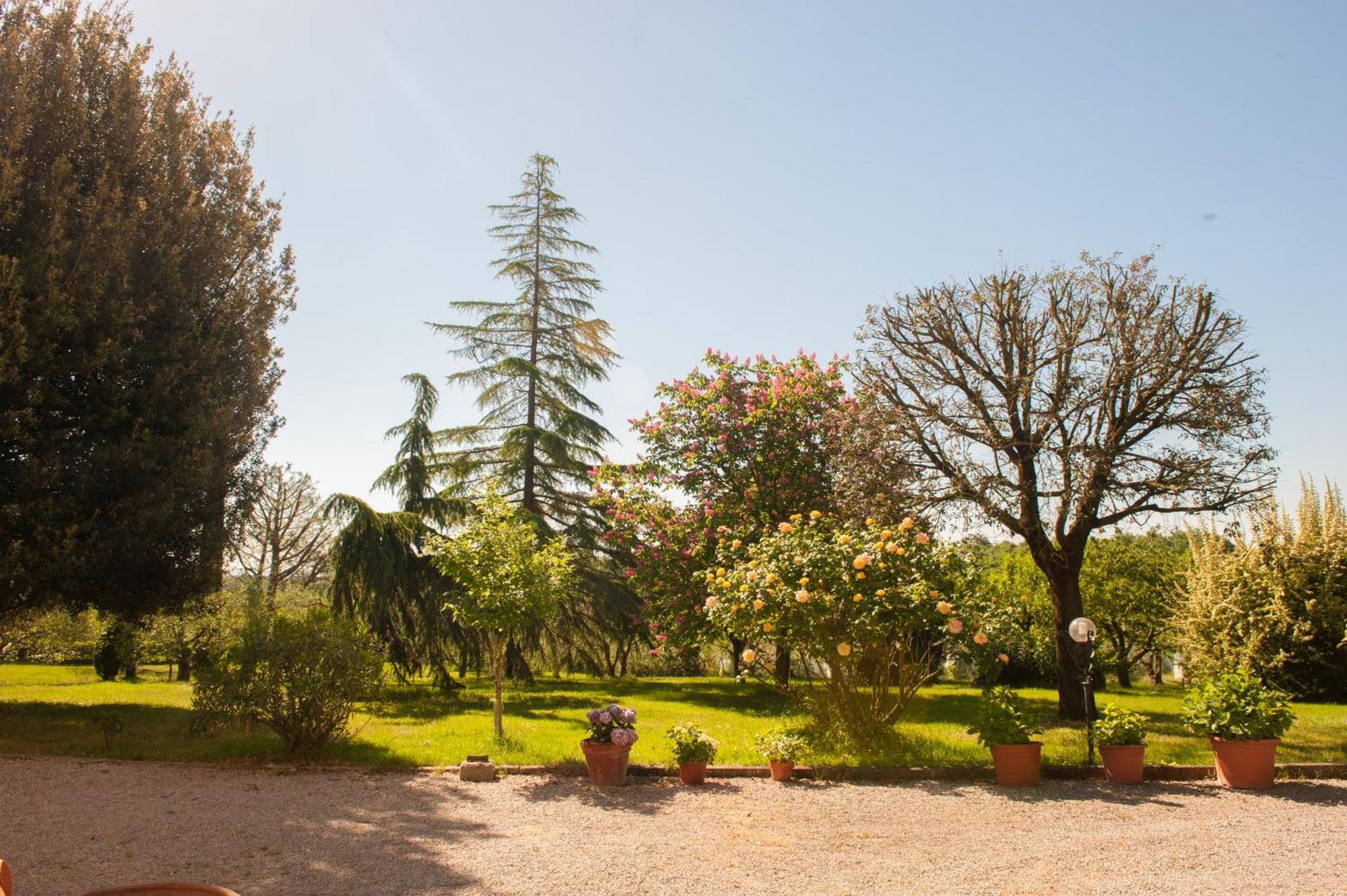 Agriturismo Villa La Morina Cortona Esterno foto