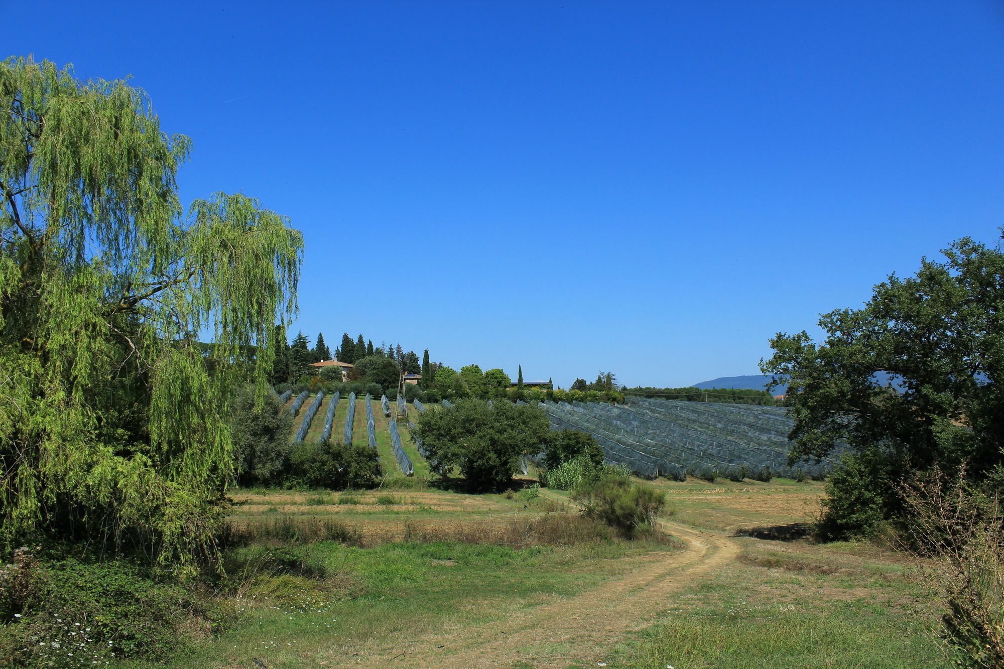 Agriturismo Villa La Morina Cortona Esterno foto