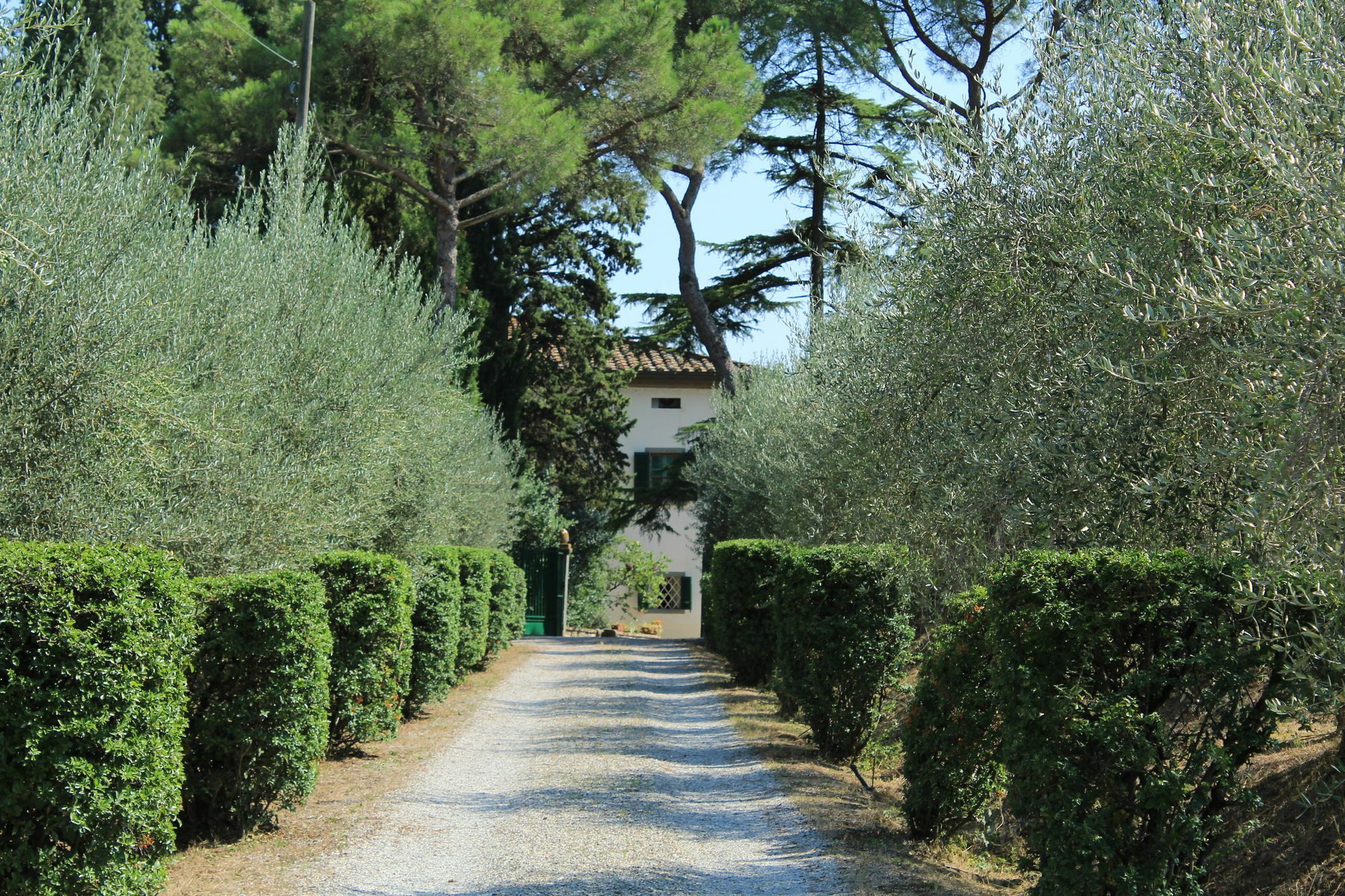 Agriturismo Villa La Morina Cortona Esterno foto